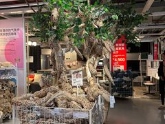 -宜家家居(四元桥商场店)