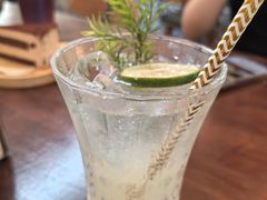 -Sirena海妖日咖夜酒