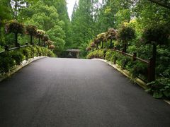 -东平国家森林公园