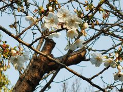 -苏州河梦清园环保主题公园