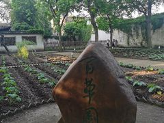 -绍兴鲁迅故里·沈园景区