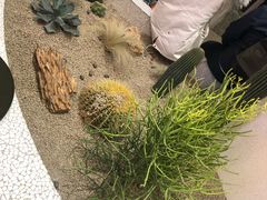 -OUR Bakery(SKP-S店)