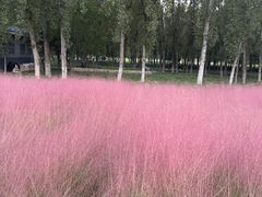 -汉长安城未央宫国家考古遗址公园