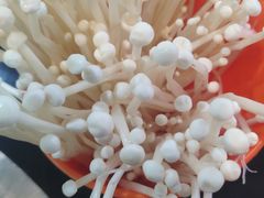 -三里屯土灶炖公鸡地锅鸡(江东店)