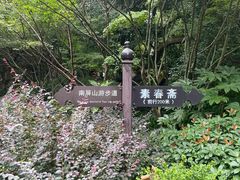 -九曜山