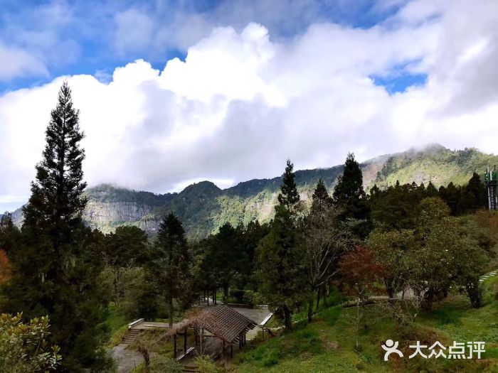 阿里山風景區-圖片-臺灣景點-大眾點評網