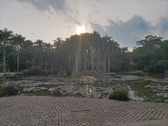 -中国科学院西双版纳热带植物园
