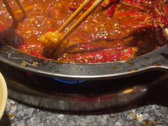 -蜀大侠火锅(总府路店)