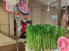-海底捞火锅(新松江路店)