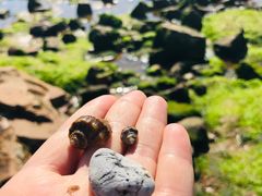 -青岛第三海水浴场