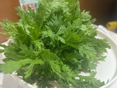 -烹然四季椰子鸡火锅(姚家园万象汇店)