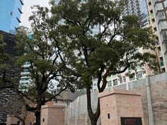 -大馆(前中区警署建築群)