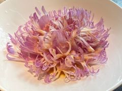 -大拙里·精致融合菜(沙湖桃源国际店)