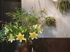 -Apollo·西班牙小酒馆(安福路店)