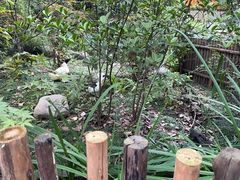-林间山庄