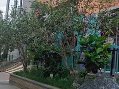 -天虹购物中心(深圳龙华店)