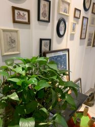 -长沙纹身·龙堂刺青·三土师傅的店