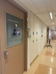 -杭州贝瑞斯美华妇儿医院·早孕·产检·儿科