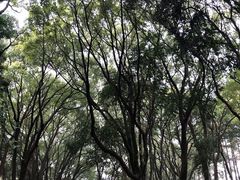 -上海方塔园