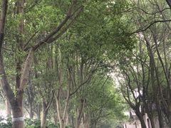 -千龙湖生态旅游度假区