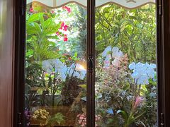 -花神咖啡馆