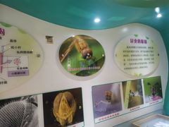 -上海昆虫博物馆