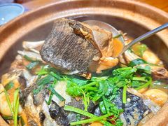 -九道菜有鸡鱼头(石鼓路店)