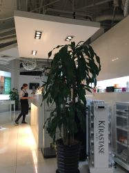 -ace hair salon top 无痕接发
