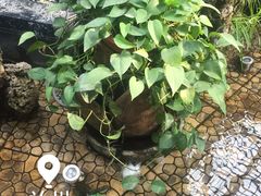 -华源足浴棋牌SPA