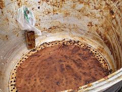 -马文章胖子甑糕(洒金桥店)