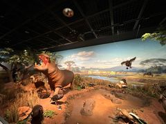 -陕西自然博物馆