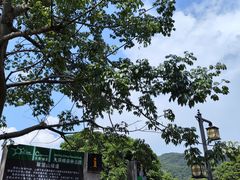 -大屏嶂森林公园