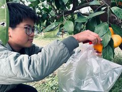 -前小桔亲子创意农场·草莓采摘·露营烧烤