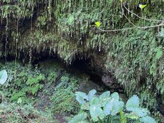-海口火山口国家地质公园