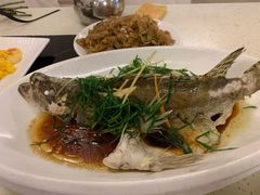 清蒸鳜鱼-高记广州大排档(关平路店)