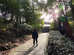 -宁波市保国寺古建筑博物馆