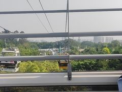 -广州长隆野生动物世界