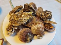 -宾朋海鲜饭庄(兴海路店)