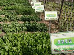 -意大利农场度假村