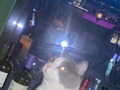 -后院儿·精酿·塔罗Happy Bar