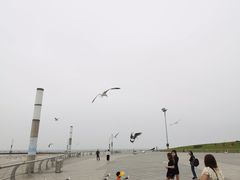 -东港音乐喷泉广场