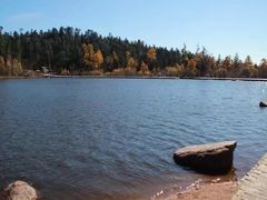 -五营红松林海景区