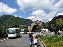 -千岛湖石林