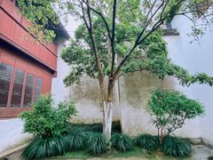 -乌镇东栅景区