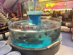 -魏铭鱼头捞饭(晋阳路店)