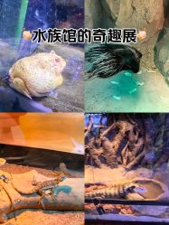 -酷嗒动物文化乐园(cutezoo西溪乐天城店)