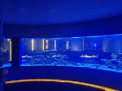 -上和臻品中国菜(花园街店)