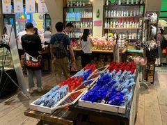 -猫咪博物馆(顶澳仔猫街店)