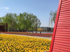 -廊坊文化艺术中心