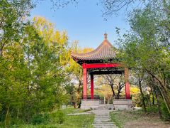 -万泉公园